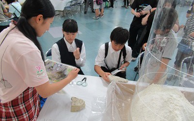 科学1